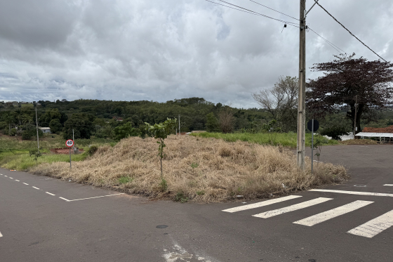Terreno 220.2m Umuarama-PR 166